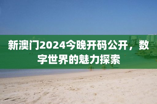 新澳门2024今晚开码公开，数字世界的魅力探索