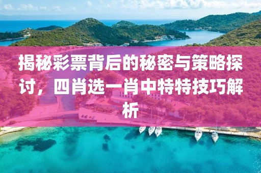 揭秘彩票背后的秘密与策略探讨，四肖选一肖中特特技巧解析
