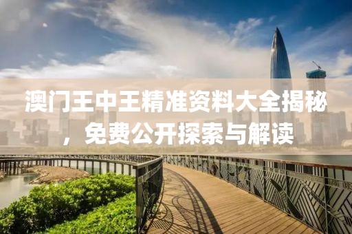 澳门王中王精准资料大全揭秘，免费公开探索与解读