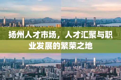 扬州人才市场，人才汇聚与职业发展的繁荣之地