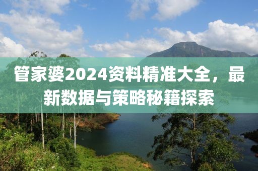 管家婆2024资料精准大全，最新数据与策略秘籍探索