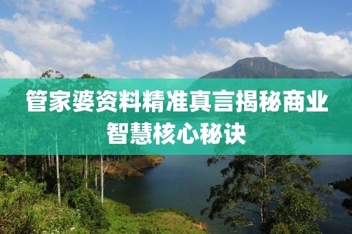 管家婆资料精准真言揭秘商业智慧核心秘诀