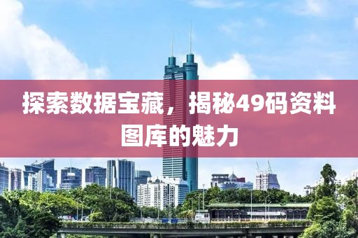 探索数据宝藏，揭秘49码资料图库的魅力
