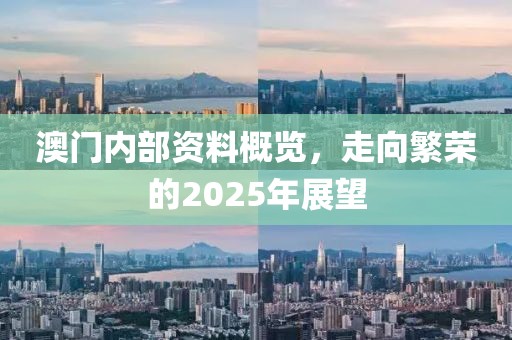 澳门内部资料概览，走向繁荣的2025年展望