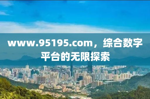 www.95195.com，综合数字平台的无限探索