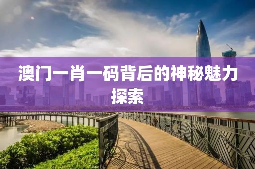 澳门一肖一码背后的神秘魅力探索
