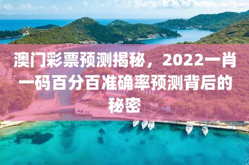 澳门彩票预测揭秘，2022一肖一码百分百准确率预测背后的秘密