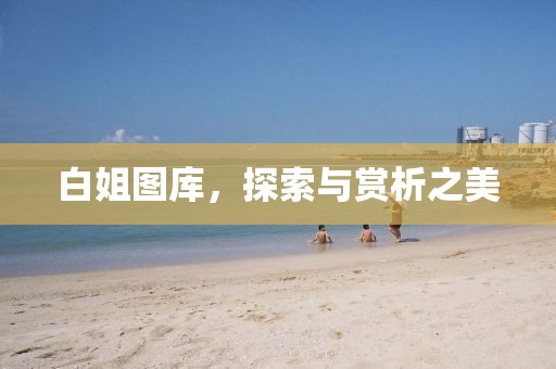 白姐图库，探索与赏析之美