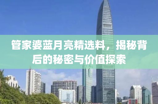 管家婆蓝月亮精选料