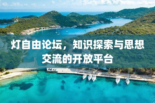 灯自由论坛，知识探索与思想交流的开放平台