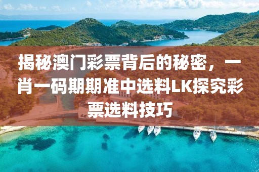 揭秘澳门彩票背后的秘密，一肖一码期期准中选料LK探究彩票选料技巧