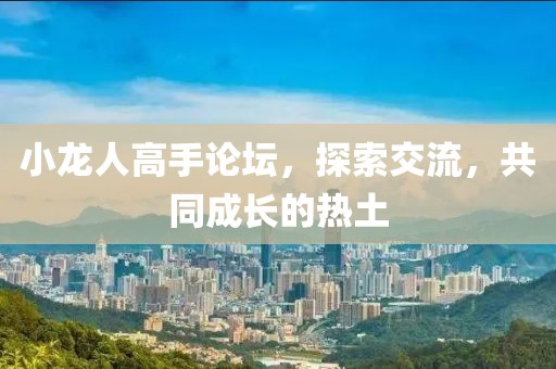 小龙人高手论坛，探索交流，共同成长的热土