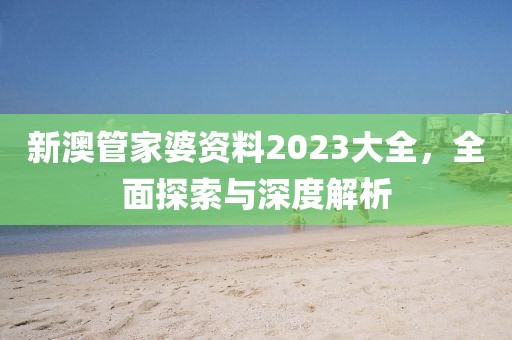 新澳管家婆资料2023大全，全面探索与深度解析