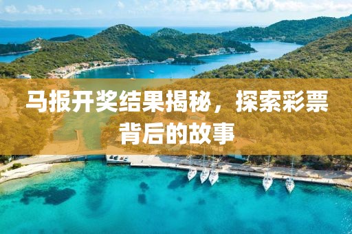 马报开奖结果揭秘，探索彩票背后的故事