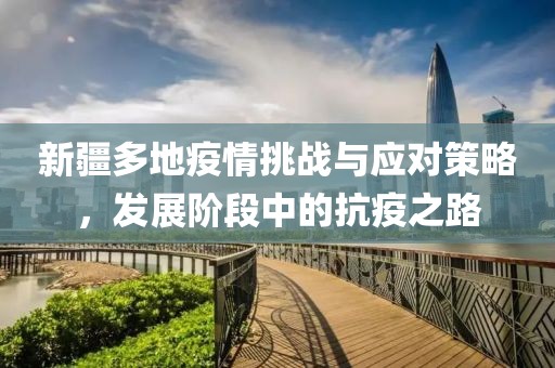 新疆多地疫情挑战与应对策略，发展阶段中的抗疫之路