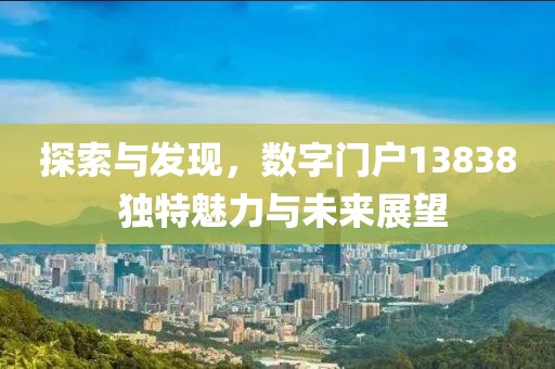 探索与发现，数字门户13838 独特魅力与未来展望