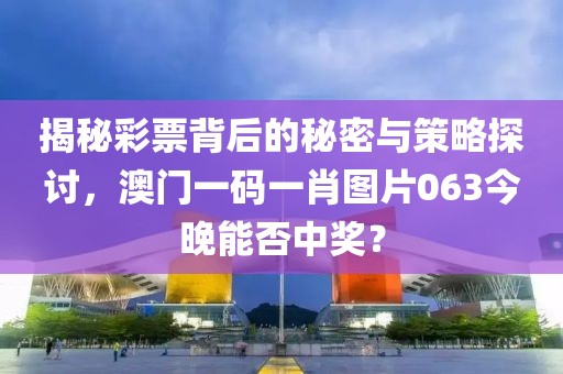 揭秘彩票背后的秘密与策略探讨，澳门一码一肖图片063今晚能否中奖？