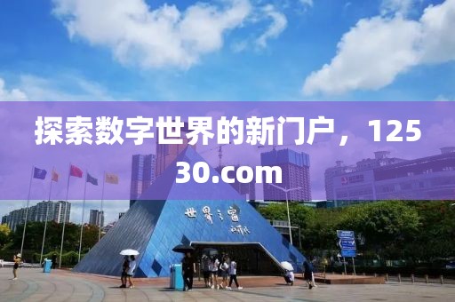 探索数字世界的新门户，12530.com