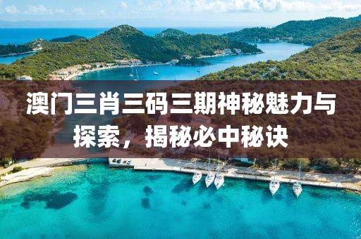澳门三肖三码三期神秘魅力与探索，揭秘必中秘诀