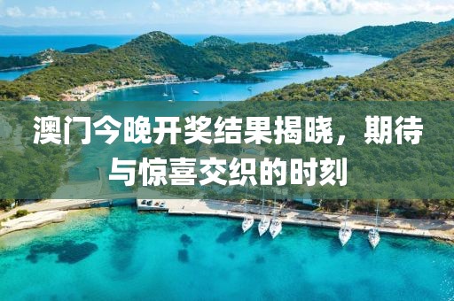 澳门今晚开奖结果揭晓，期待与惊喜交织的时刻