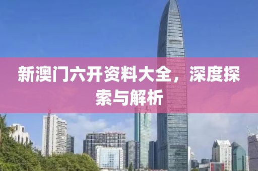 新澳门六开资料大全，深度探索与解析
