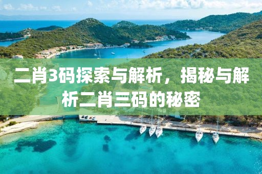 二肖3码探索与解析，揭秘与解析二肖三码的秘密