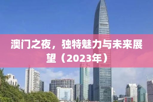 澳门之夜，独特魅力与未来展望（2023年）