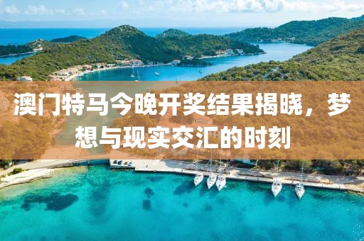 澳门特马今晚开奖结果揭晓，梦想与现实交汇的时刻