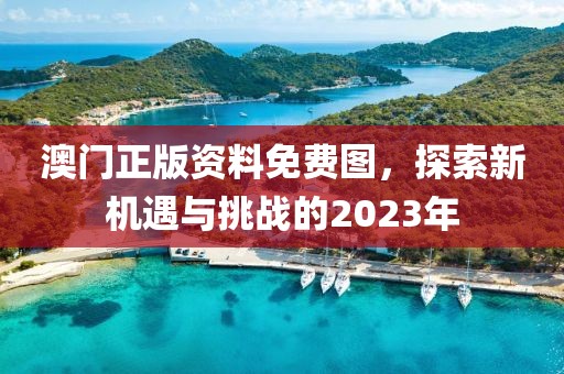 澳门正版资料免费图，探索新机遇与挑战的2023年