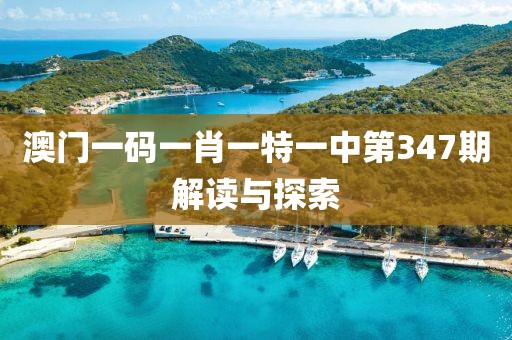澳门一码一肖一特一中第347期解读与探索