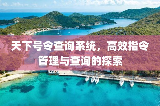 天下号令查询系统，高效指令管理与查询的探索