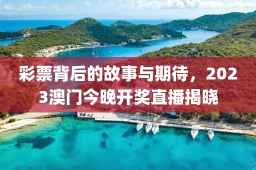 彩票背后的故事与期待，2023澳门今晚开奖直播揭晓
