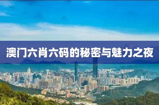 澳门六肖六码的秘密与魅力之夜