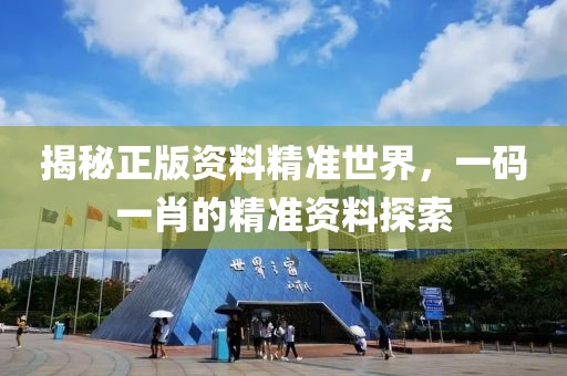 揭秘正版资料精准世界，一码一肖的精准资料探索