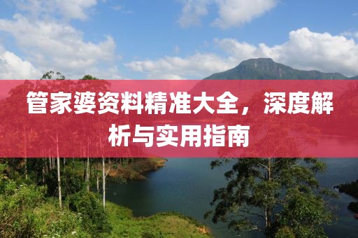 管家婆资料精准大全，深度解析与实用指南