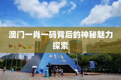 澳门一肖一码背后的神秘魅力探索
