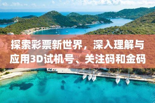 探索彩票新世界，深入理解与应用3D试机号、关注码和金码