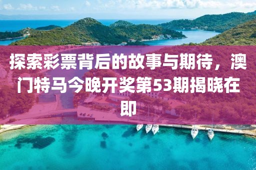 探索彩票背后的故事与期待，澳门特马今晚开奖第53期揭晓在即