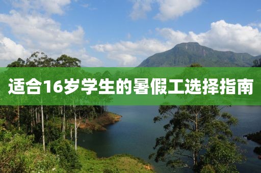 适合16岁学生的暑假工选择指南
