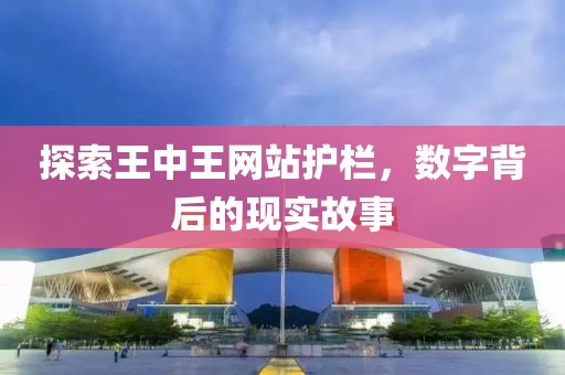 探索王中王网站护栏，数字背后的现实故事