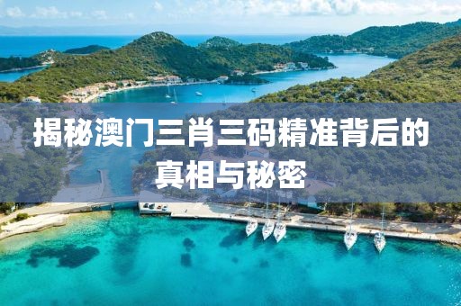 揭秘澳门三肖三码精准背后的真相与秘密