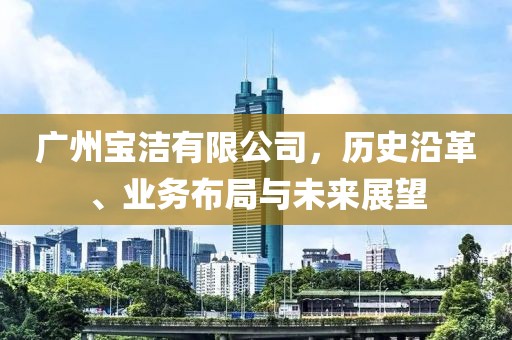 广州宝洁有限公司，历史沿革、业务布局与未来展望
