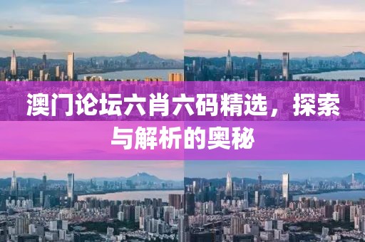 澳门论坛六肖六码精选，探索与解析的奥秘