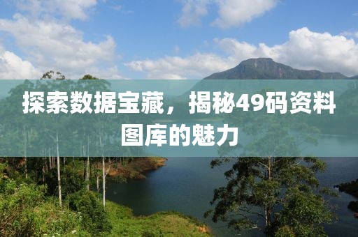 探索数据宝藏，揭秘49码资料图库的魅力