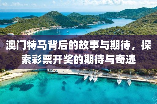 澳门特马背后的故事与期待，探索彩票开奖的期待与奇迹