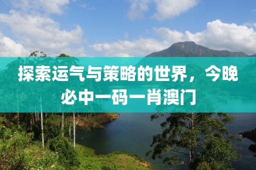 探索运气与策略的世界，今晚必中一码一肖澳门