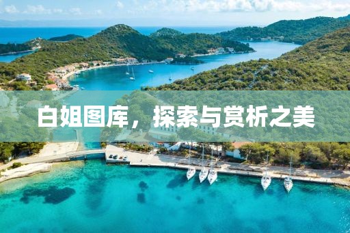 白姐图库，探索与赏析之美