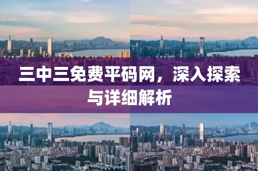 三中三免费平码网，深入探索与详细解析