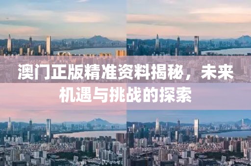 澳门正版精准资料揭秘，未来机遇与挑战的探索