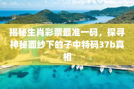 揭秘生肖彩票最准一码，探寻神秘面纱下的子中特码37b真相